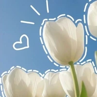 các chị ( kanao , Nezuko)