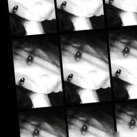 phwng chii