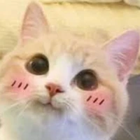 hệ thống NXH (negav x Q.hùng:))