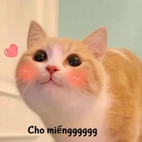 Ham ăn vcl