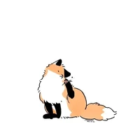 cáo