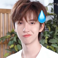Hạ Tuấn Lâm
