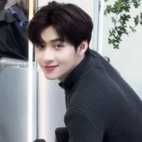 Hoàng Hùng Huỳnh - Gemini