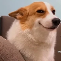 t/g