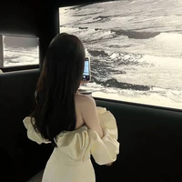 Mỹ Linh