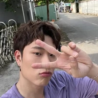 Dương Domic