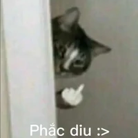 @fuckyou_pis