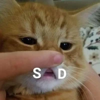 @dlmemay_gem