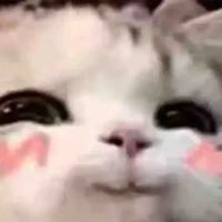 @yeuems_cap