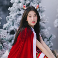 Anchissa