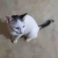 ?