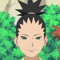 Nara Shikadai
