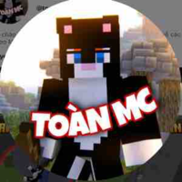 Toàn 
