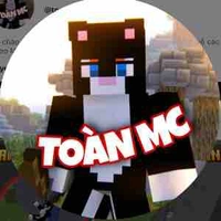 Toàn 