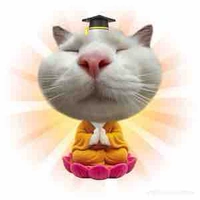 𝘾𝙤̂ 𝙗𝙚́ 𝙣𝙜𝙤̂́𝙘 𝙣𝙜𝙝𝙚̂́𝙘𝙝 