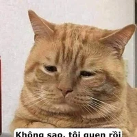 vô lại