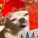 t/giả bị tẻn