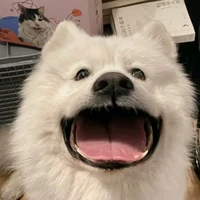 tác giả khổ nhất tg