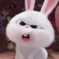 T/g lùn