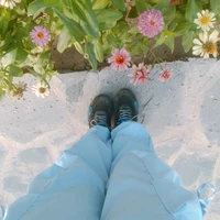 TNHN