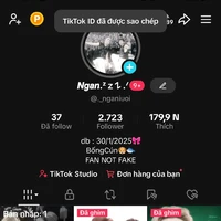 Ngan🐈‍⬛
