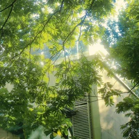 All nhân vật