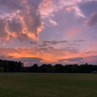 all- trừ những người cần trừ