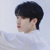 Nghiêm Hạo Tường (em)