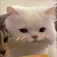 con nhỏ tác giả