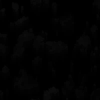 "Giọng nói kì lạ"