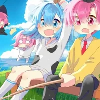 all hiha aut 