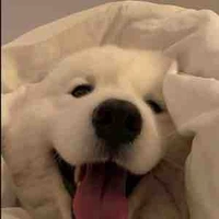 All top ở đấy(-ai thì trừ)