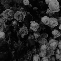 những người ở đó ( -.....)