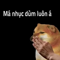 nvp