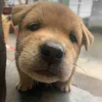 Tác giả iu mn💗