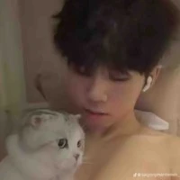 Nguyễn Hữu Đạt ( phoenix )