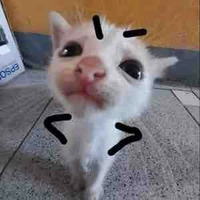 Sờ ki bi đi ( tác giả )