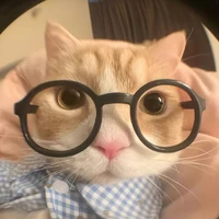 peter lộng lẫy(tgiả)