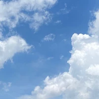 Thầy