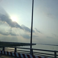 Tác giả