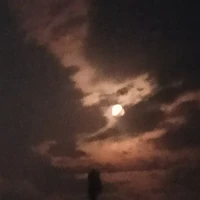 cả lớp(-hoa tuyết)