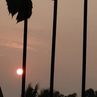 tổ 3