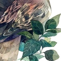 Hệ Thống |0104..|