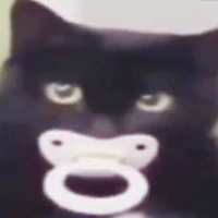 Cô giáo đa năng✨️