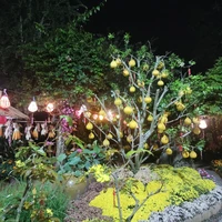 nhóm bạn nguyên chủ