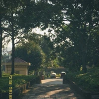 All lớp