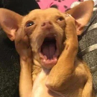 T/G