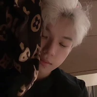 fuji mèo méo meo mèo meo