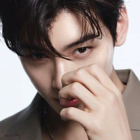 Cha Eun Woo