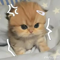 Duệ Kỳ(Ricky)[Quỷ / my au]dạng mèo
